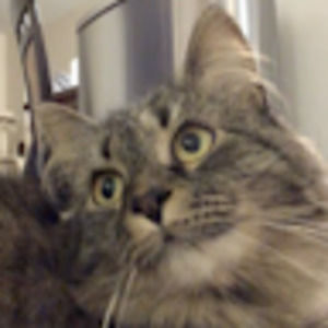 Meet your Posher, Jenssen